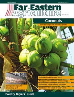 Digital Magazine